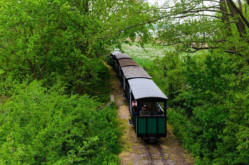 Wycieczka kolejką Żnin Biskupin